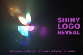 Logo Animation 49333139