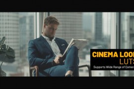 Cinema Look Color LUTs 48624965