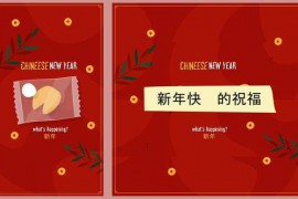 Fortune Cookies 49498911