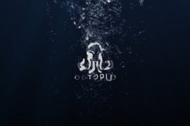 Underwater Logo Reveal 24712071