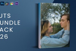 LUTs Bundle Pack V26 45296675