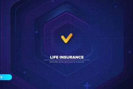 Life Insurance 47472132