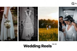 Wedding Reels Vol. 04 49249779