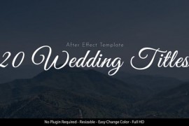 Wedding Titles 45053568