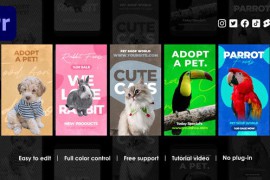 Veterinary Instagram Reels 45959789