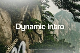 Dynamic Opener 50027776