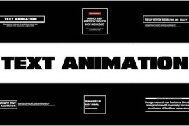 Text Animation for Premiere Pro 52342212