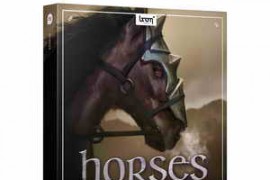 Boom Library Horses WAV KONTAKT-MAGNETRiXX