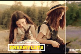 LUTs Creamy 43791132