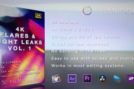 Flares and Light Leakes vol.1 21564546