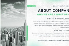 Business Promotion 47020509