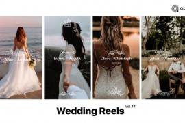 Wedding Reels Vol. 14 49308056