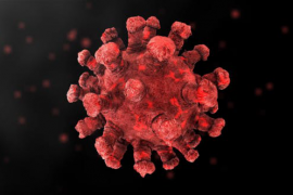 Corona Virus Intro 26088879