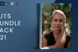 LUTs Bundle Pack V21 44190016