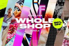 Youworkforthem – Whole Shop Bundle Graphics
