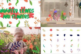 Animated Leaves And Flowers for DaVinci Resolve 42946163