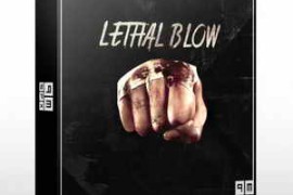 PMSFX Lethal Blow WAV-FANTASTiC