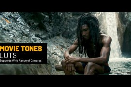 Movie Tones LUTs 45023705