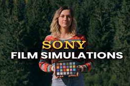 Veresdenialex Sony Film Simulation Recipes -PDF