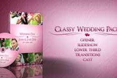 Free Download:Classy Wedding 4754076