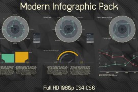 Modern Infographics Pack 4027550