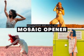 Mosaic Opener 45227566