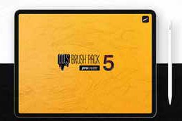 Gumroad – BRUSH PACK PRO II for PROCREATE 5
