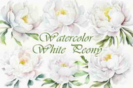 Free Download:White Peony Watercolor Clipart