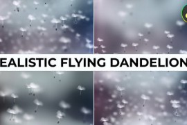 Realistic Flying Dandelions for DaVinci Resolve 52725045
