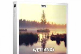 Boom Library Wetlands Stereo Edittion WAV