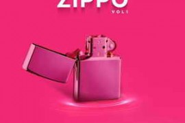DiyMusicBiz Zippo Vol 1 WAV-FANTASTiC