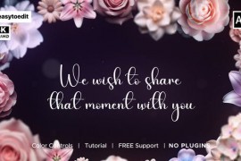 Wedding Animated Invitation 48805989