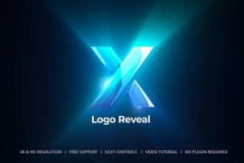 Logo Reveal 50954944