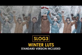 Slog3 Winter and Standard Color LUTs 51104303