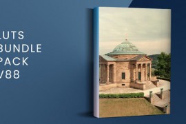 LUTs Bundle Pack V88 | FCPX 49857859