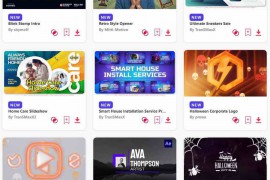 2023.10.3.44.Set.AE.Templates