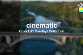 Cinematic Color Presets for Final Cut Pro Vol. 01 48017175
