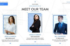 Minimal Company Promo 44636498