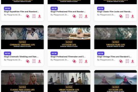 2024.3.1.26.Set.DaVinci-Resolve.Templates