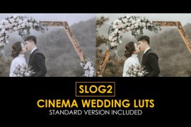 Slog2 Cinema Wedding and Standard Color LUTs 48915029