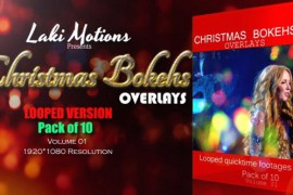 Xmas Bokehs (Pack of 10) 13833423