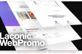 Laconic Website Promo 51824044