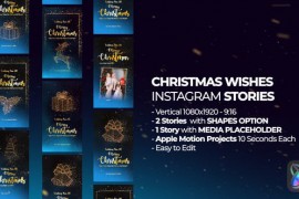 Christmas Wishes Instagram Stories Apple Motion 49780782