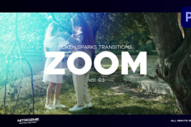 Bokeh Zoom Transitions Vol. 03 for Premiere Pro 47515711