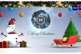 Christmas Winter Logo Reveal 49836059