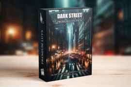 Pro Hollywood LUTs for Street Cinematography - Achieve Moody Color Grading with Cinematic Look LUTs 