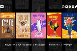 Pet Shop Instagram Reels 45851841