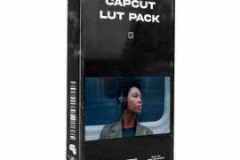 Vincentcolorfilm – CAPCUT – LUT Pack