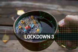 Aescripts Lockdown v3.1.7 for After Effects