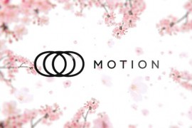 Sakura Blossom Logo Reveal 46902887